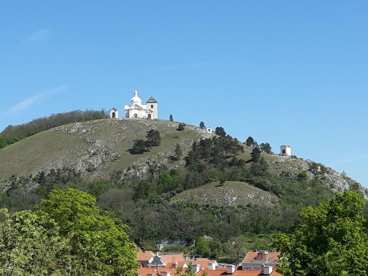 Ubytovani Na Spaciru Mikulov Exterior foto